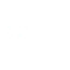 servicios-marketing-digital-unam(1)